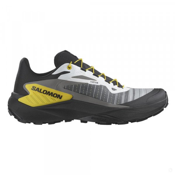 Кроссовки для бега мужские Salomon Genesis 