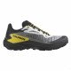 Кроссовки для бега мужские Salomon Genesis 