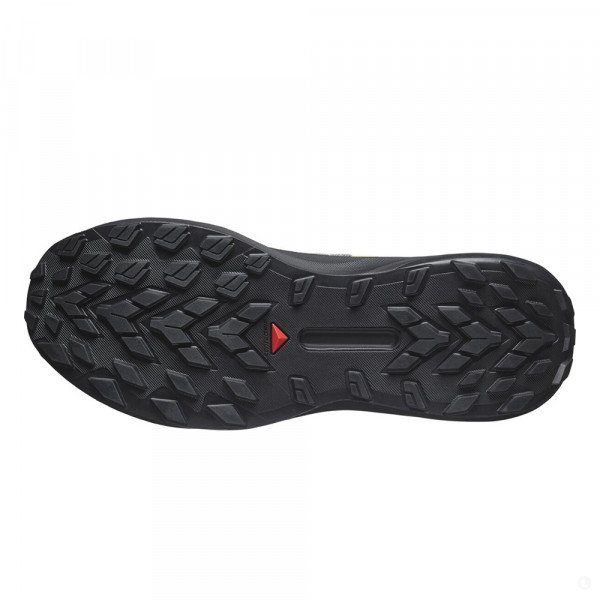 Кроссовки для бега мужские Salomon Genesis 