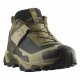 Треккинговые кроссовки мужские Salomon X ultra 5 gtx 