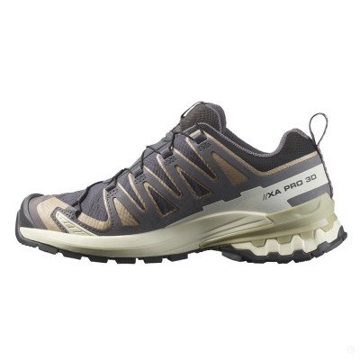 Треккинговые кроссовки женские Salomon Xa pro 3d v9 gtx 