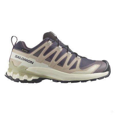 Треккинговые кроссовки женские Salomon Xa pro 3d v9 gtx 