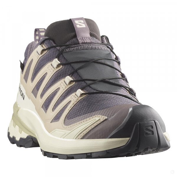 Треккинговые кроссовки женские Salomon Xa pro 3d v9 gtx 