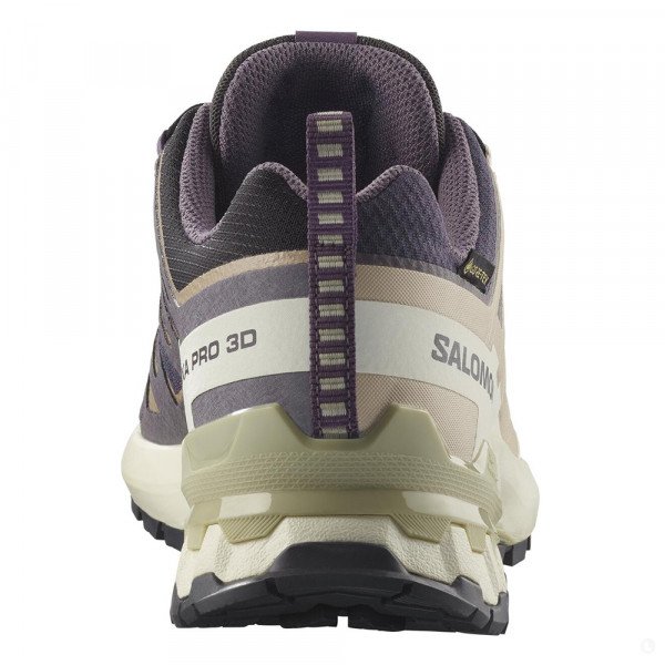 Треккинговые кроссовки женские Salomon Xa pro 3d v9 gtx 
