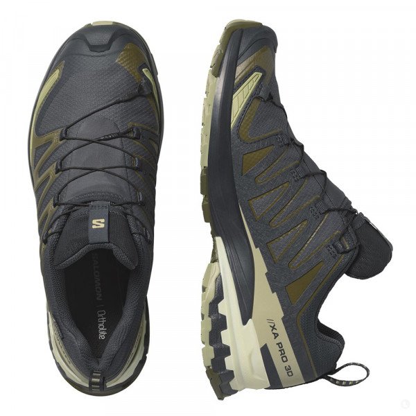 Треккинговые кроссовки мужские Salomon Xa Pro 3D V9 GTX 