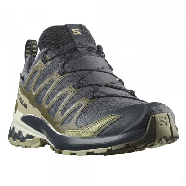 Треккинговые кроссовки мужские Salomon Xa Pro 3D V9 GTX 