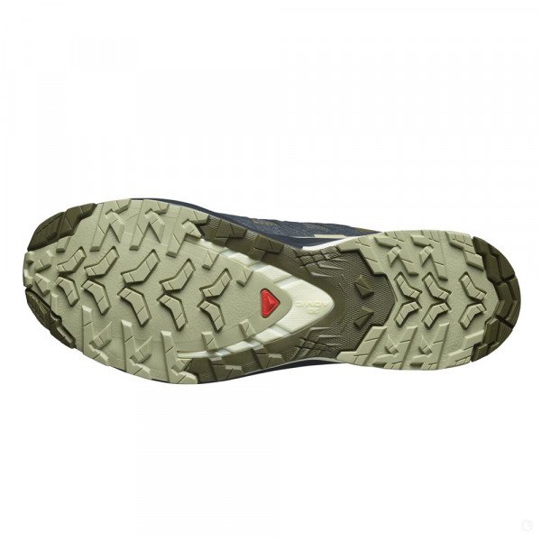 Треккинговые кроссовки мужские Salomon Xa Pro 3D V9 GTX 