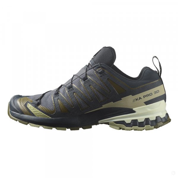 Треккинговые кроссовки мужские Salomon Xa Pro 3D V9 GTX 