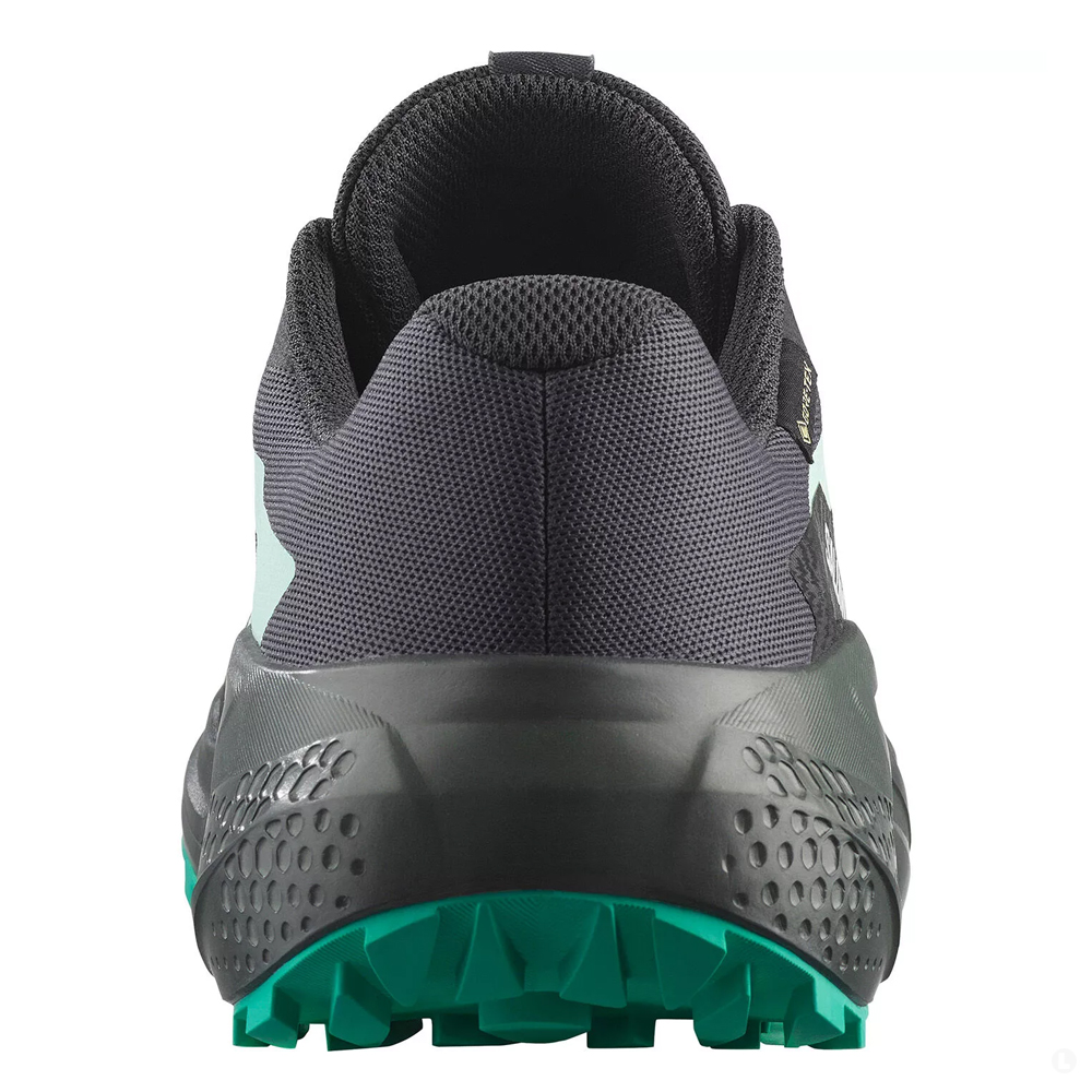 Кроссовки для бега женские Salomon Alphaglide gtx 