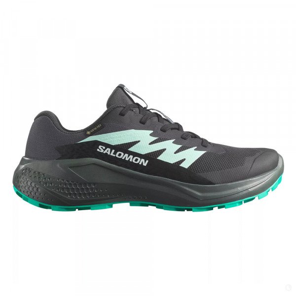 Кроссовки для бега женские Salomon Alphaglide gtx 