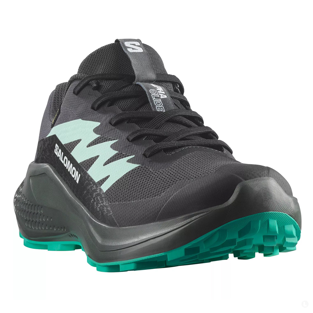 Кроссовки для бега женские Salomon Alphaglide gtx 