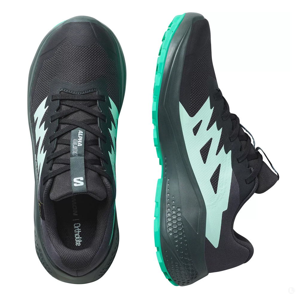 Кроссовки для бега женские Salomon Alphaglide gtx 