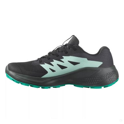 Кроссовки для бега женские Salomon Alphaglide gtx  Кроссовки для бега женские Salomon Alphaglide gtx