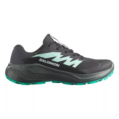 Кроссовки для бега женские Salomon Alphaglide gtx  Кроссовки для бега женские Salomon Alphaglide gtx