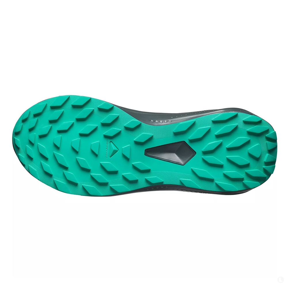 Кроссовки для бега женские Salomon Alphaglide gtx 