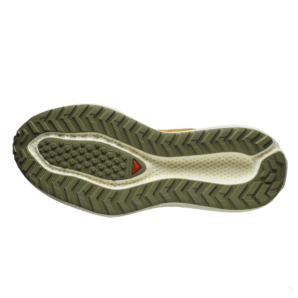 Кроссовки для бега мужские Salomon Aero Glide 3 Grvl 