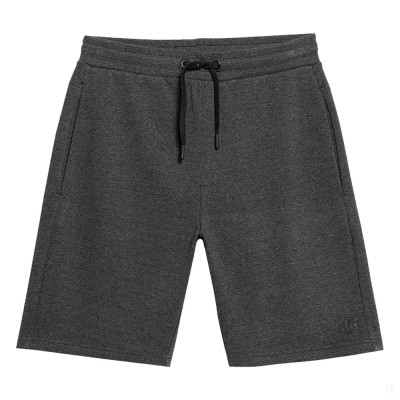 Шорты мужские 4F серые