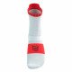 Носки Compressport Pro Racing Socks v4.0 Run High