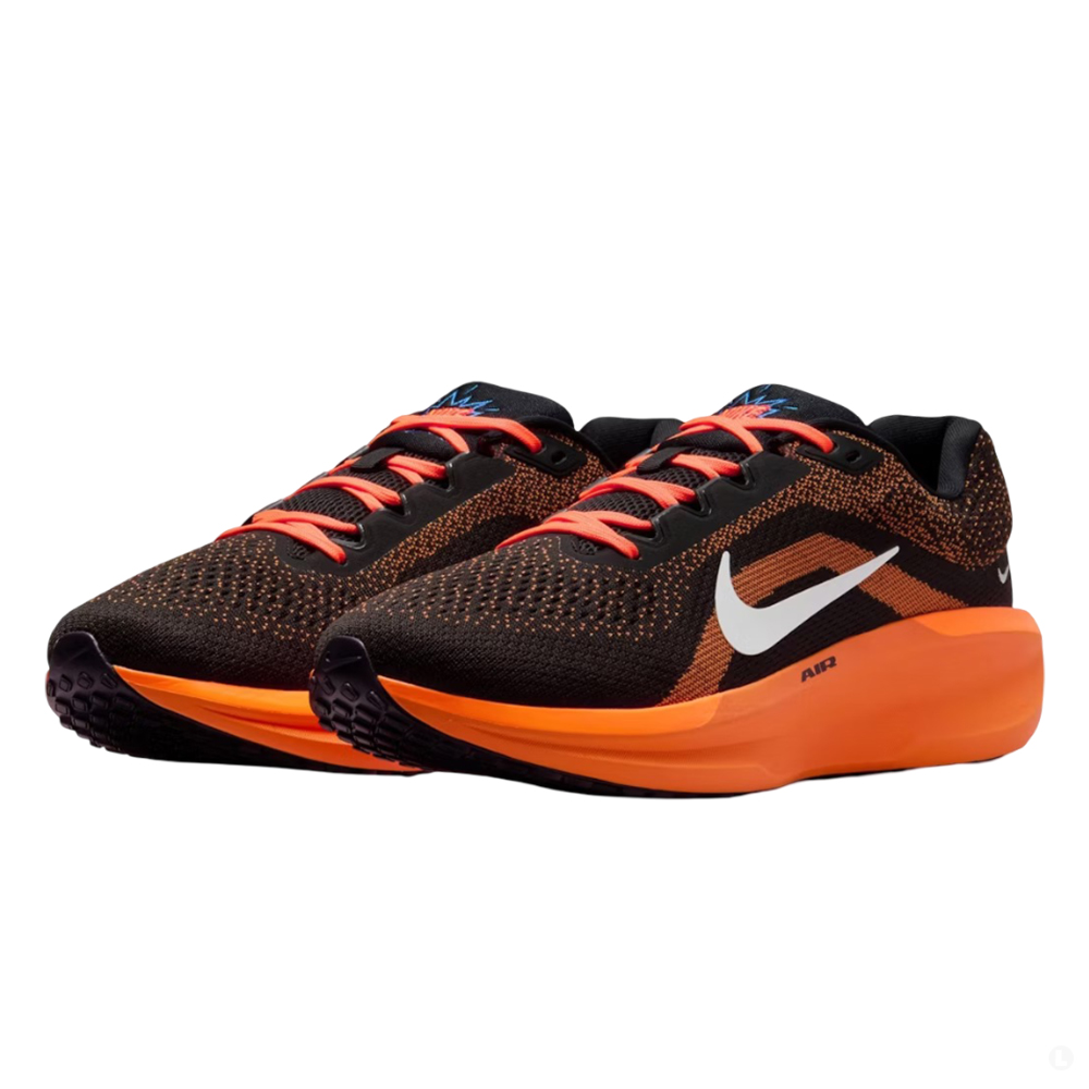 Кроссовки для бега мужские Nike Winflo 11 es 