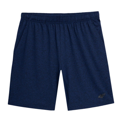 Шорты мужские 4F