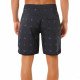 Шорты мужские пляжные Rip Curl Mirage micro 