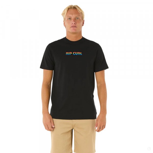Футболка мужская Rip Curl Big mumma 