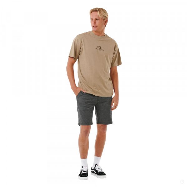Шорты мужские Rip Curl Boardwalk 