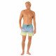 Шорты мужские пляжные Rip Curl Laze fade Шорты мужские пляжные Rip Curl Laze fade