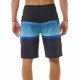 Шорты пляжные мужские Rip Curl Daybreaker