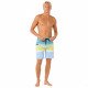 Шорты пляжные мужские Rip Curl Daybreaker