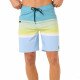 Шорты пляжные мужские Rip Curl Daybreaker
