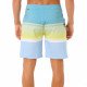 Шорты пляжные мужские Rip Curl Daybreaker