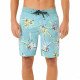 Шорты мужские пляжные Rip Curl Mirage 