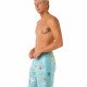 Шорты мужские пляжные Rip Curl Mirage 
