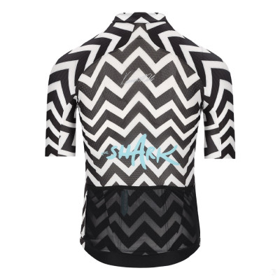 Джерси мужское Q36.5 Gregarius Clima Nibali Shark