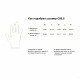Перчатки Q36.5 Dottore Pro Summer