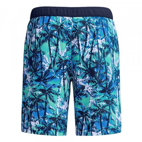 Шорты мужские пляжные Speedo Print bondi 