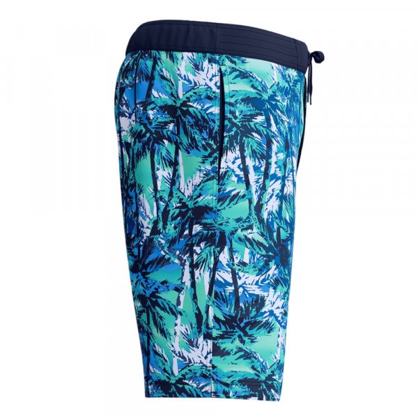 Шорты мужские пляжные Speedo Print bondi 