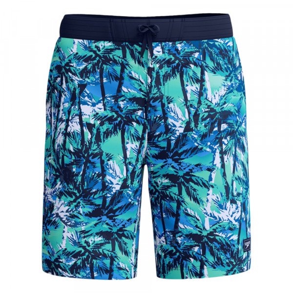 Шорты мужские пляжные Speedo Print bondi 