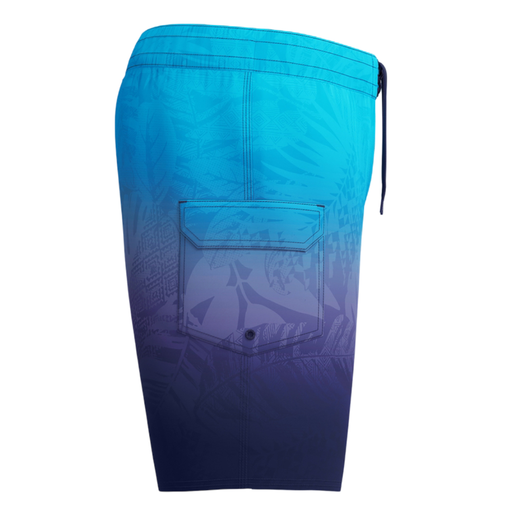 Шорты мужские пляжные Speedo The lookout 