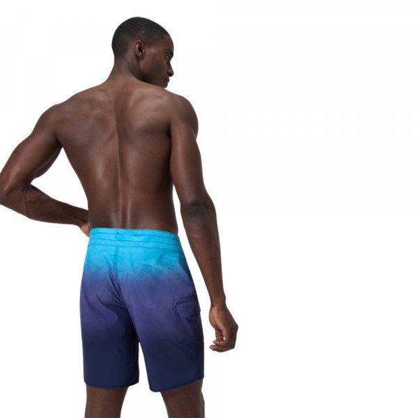 Шорты мужские пляжные Speedo The lookout 