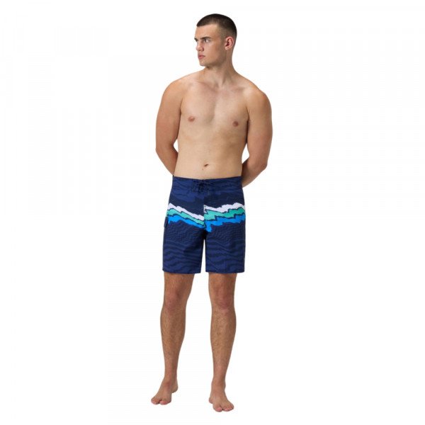 Шорты мужские пляжные Speedo The lookout 