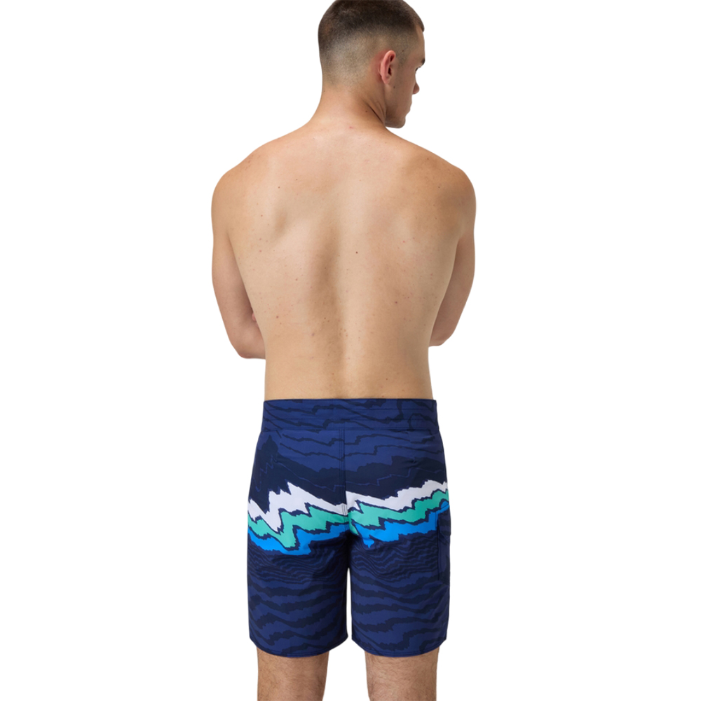 Шорты мужские пляжные Speedo The lookout 