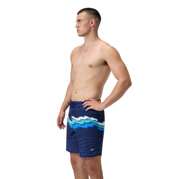 Шорты мужские пляжные Speedo The lookout 