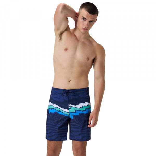 Шорты мужские пляжные Speedo The lookout 