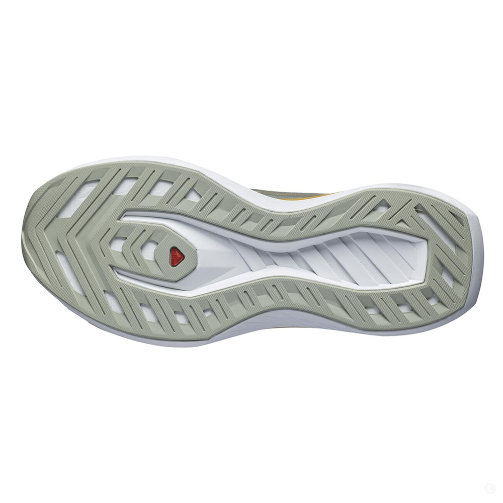 Кроссовки мужские Salomon Drx bliss