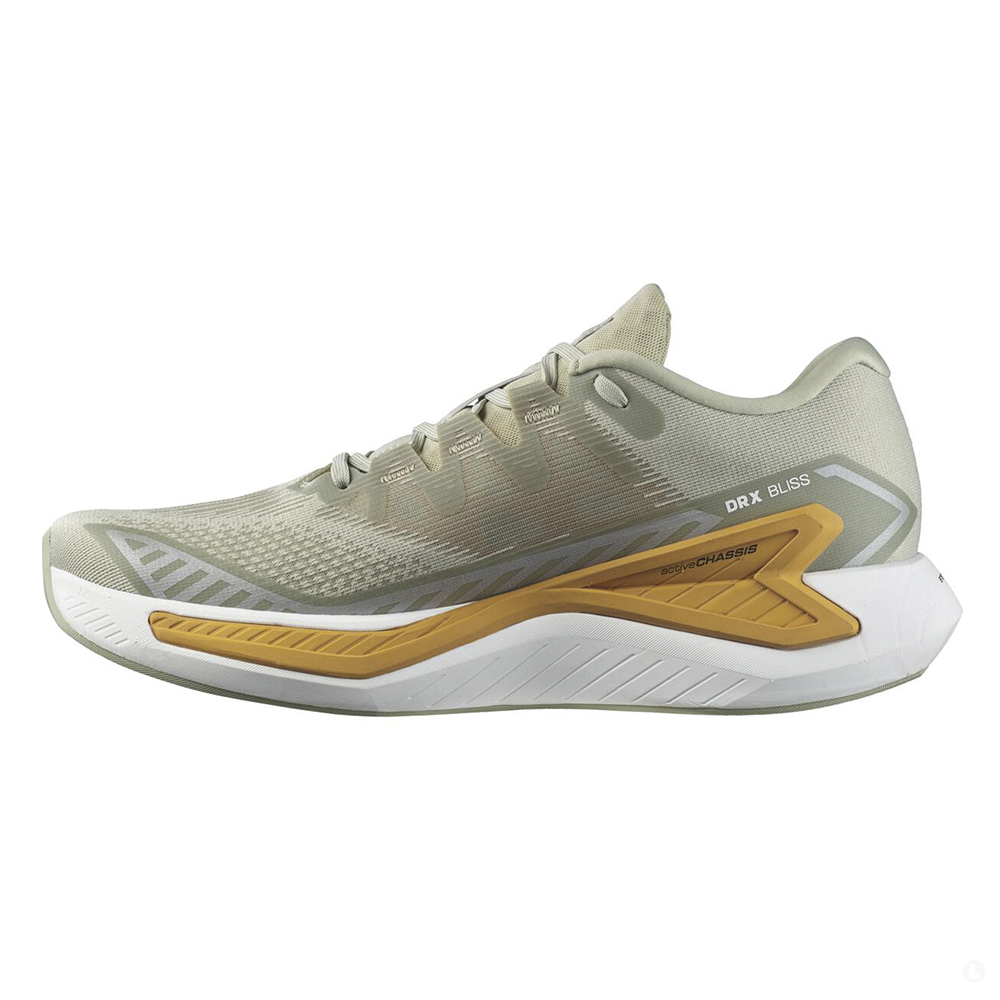 Кроссовки мужские Salomon Drx bliss