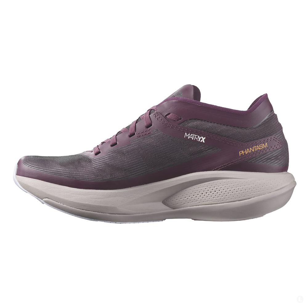 Кроссовки женские Salomon Phantasm