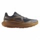 Кроссовки мужские Salomon Glide max tr