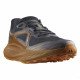 Кроссовки мужские Salomon Glide max tr